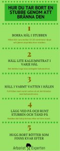 ta bort stubbe bränna